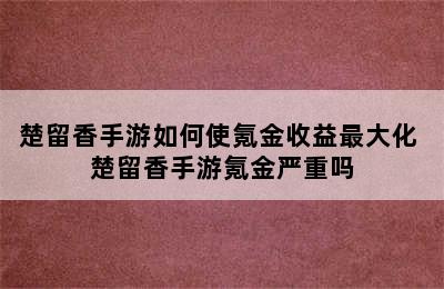 楚留香手游如何使氪金收益最大化 楚留香手游氪金严重吗